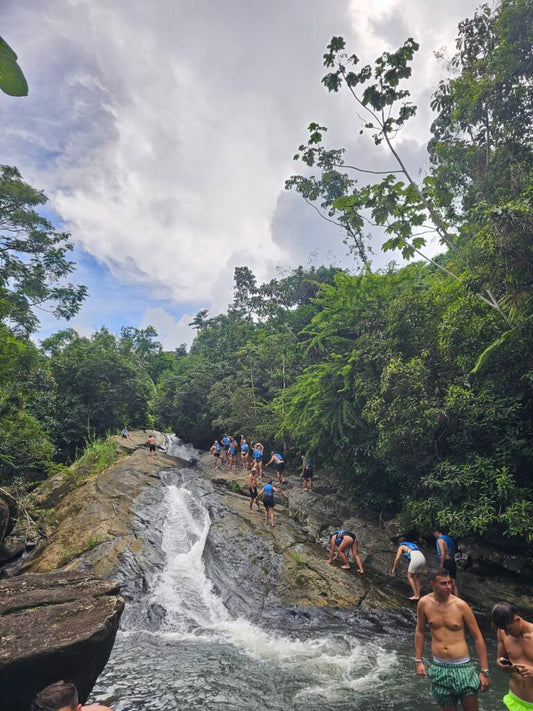 Rainforest Wild Waters