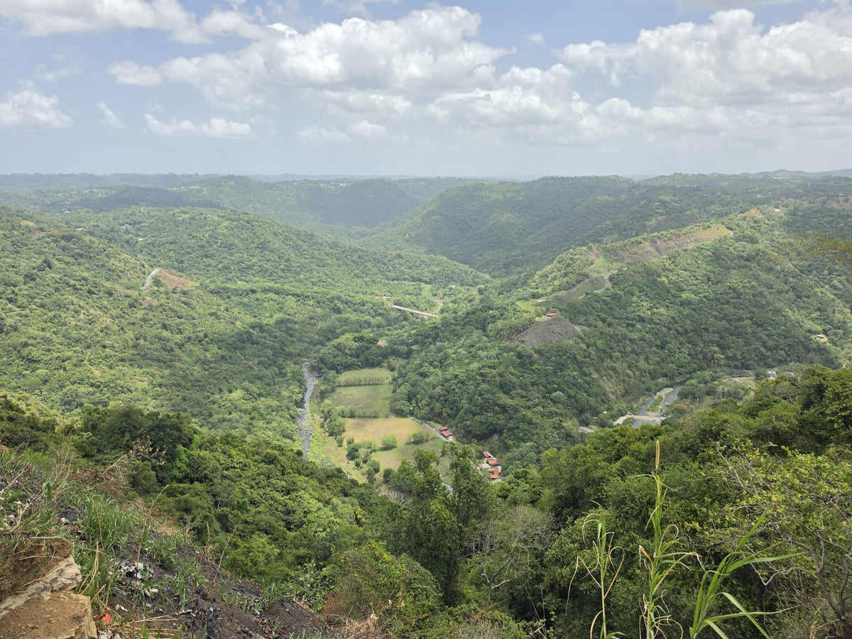 Heart of Jayuya