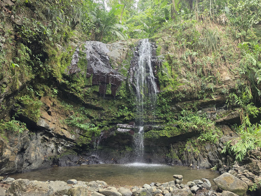 Heart of Jayuya