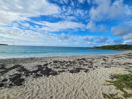 Vieques Gems