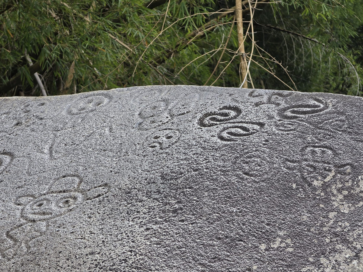 Heart of Jayuya