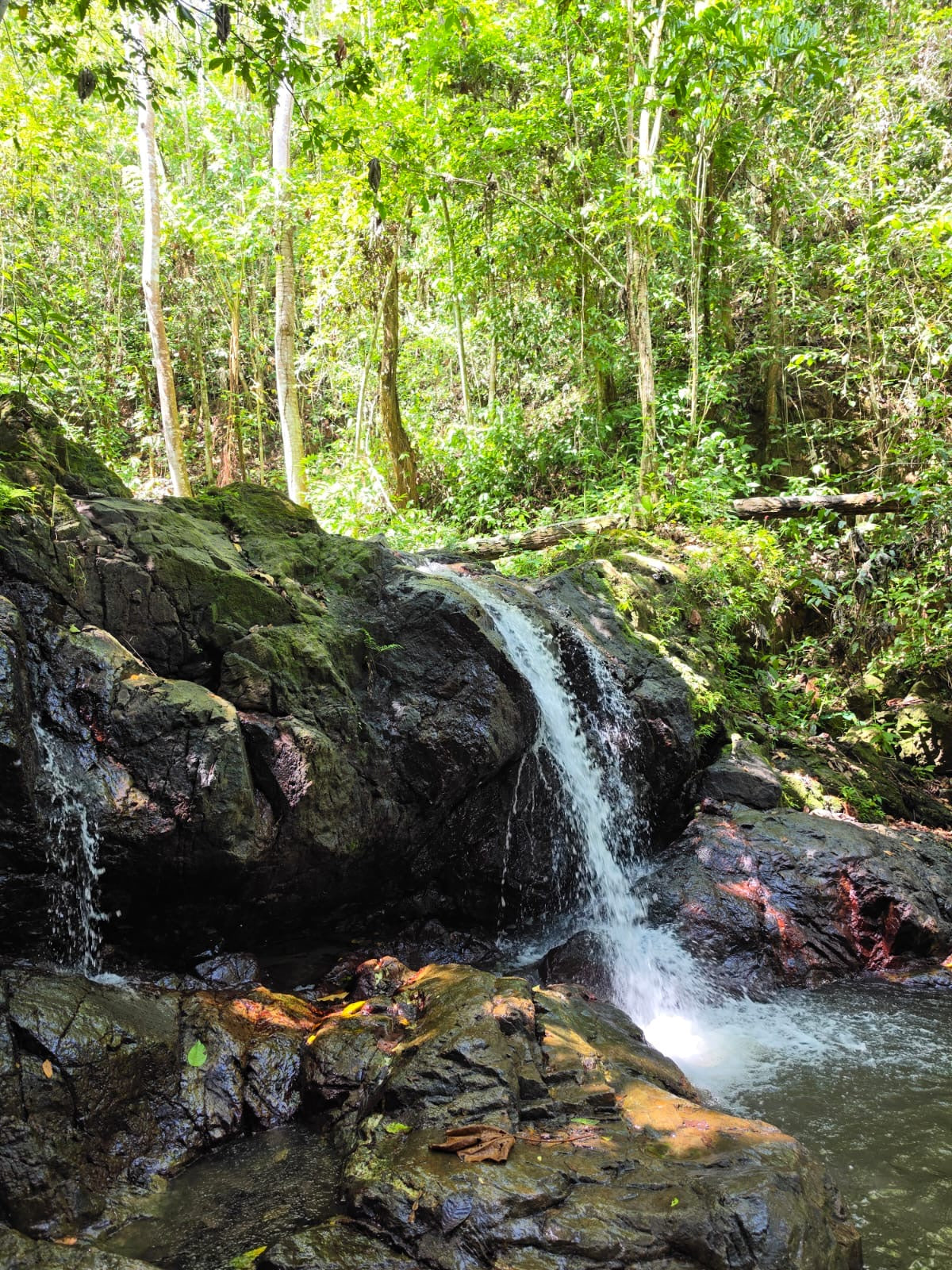 Charco Prieto Hidden Waterfall Adventure
