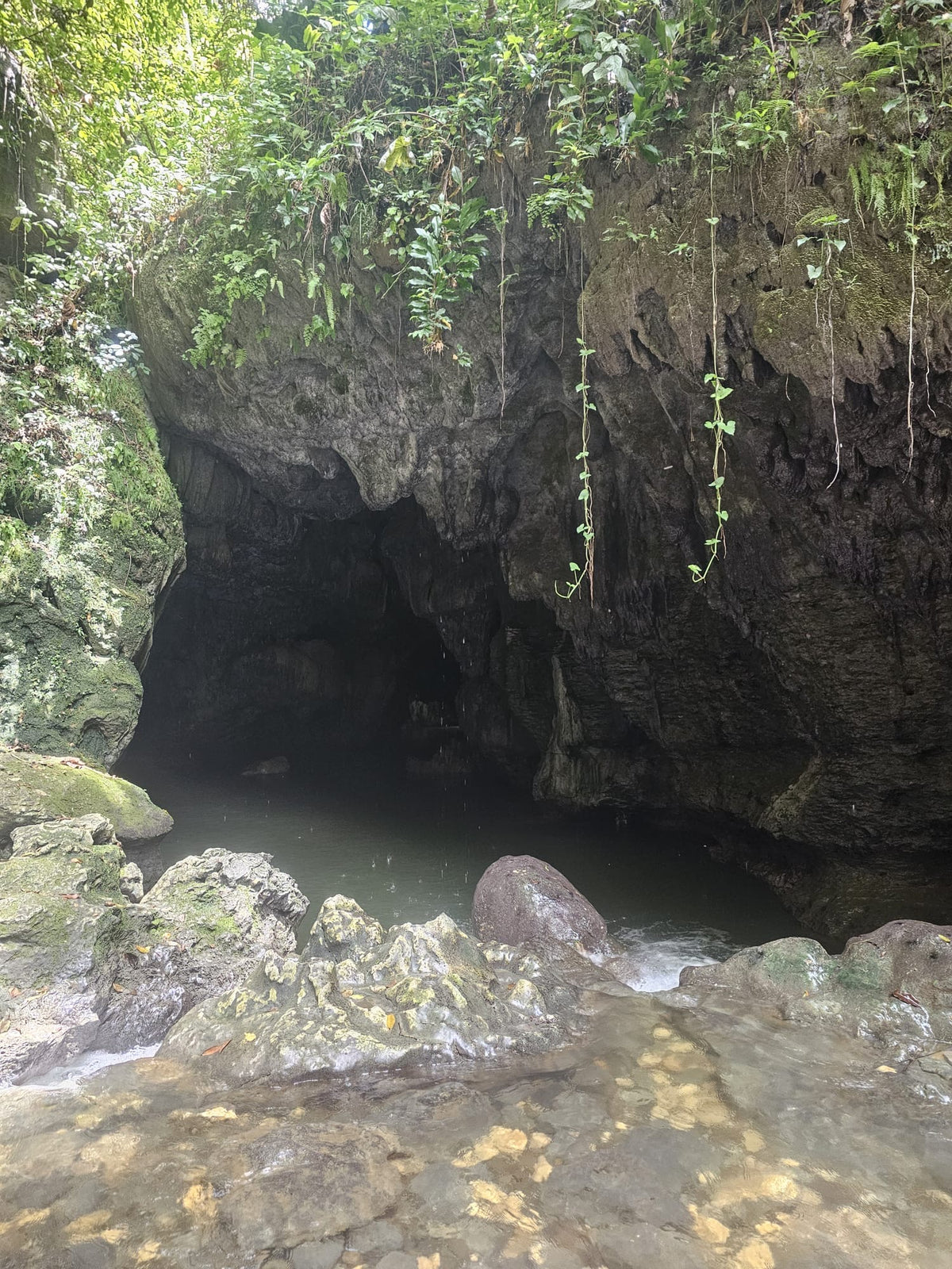 Blue Canyon: Charco Azul Experience