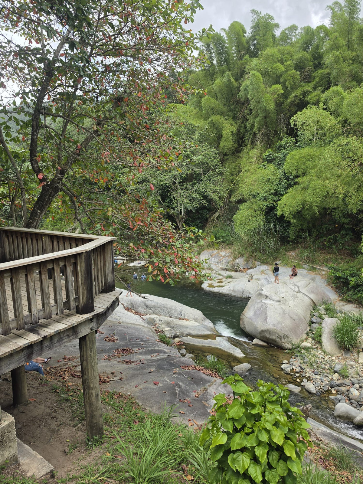Heart of Jayuya