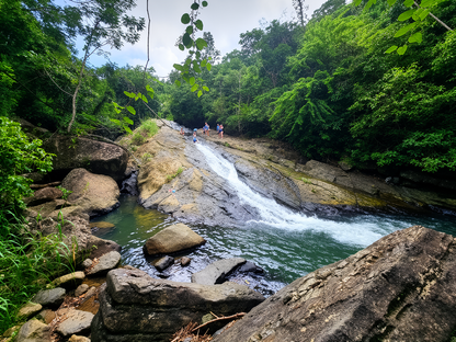 Rainforest Wild Waters