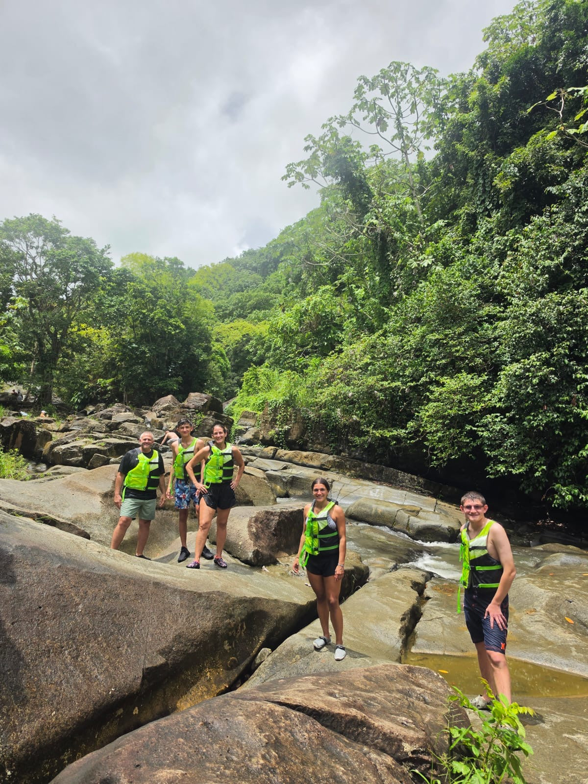 Rainforest Wild Waters