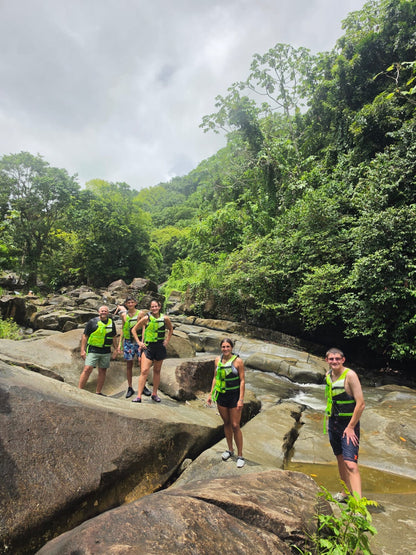 Rainforest Wild Waters
