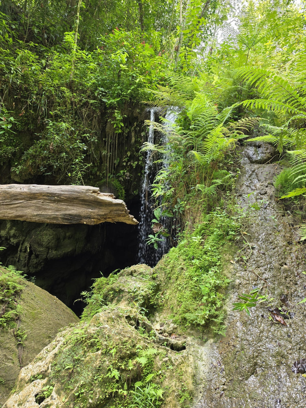 Blue Canyon: Charco Azul Experience