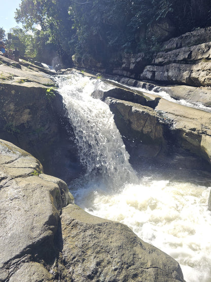 Rainforest Wild Waters