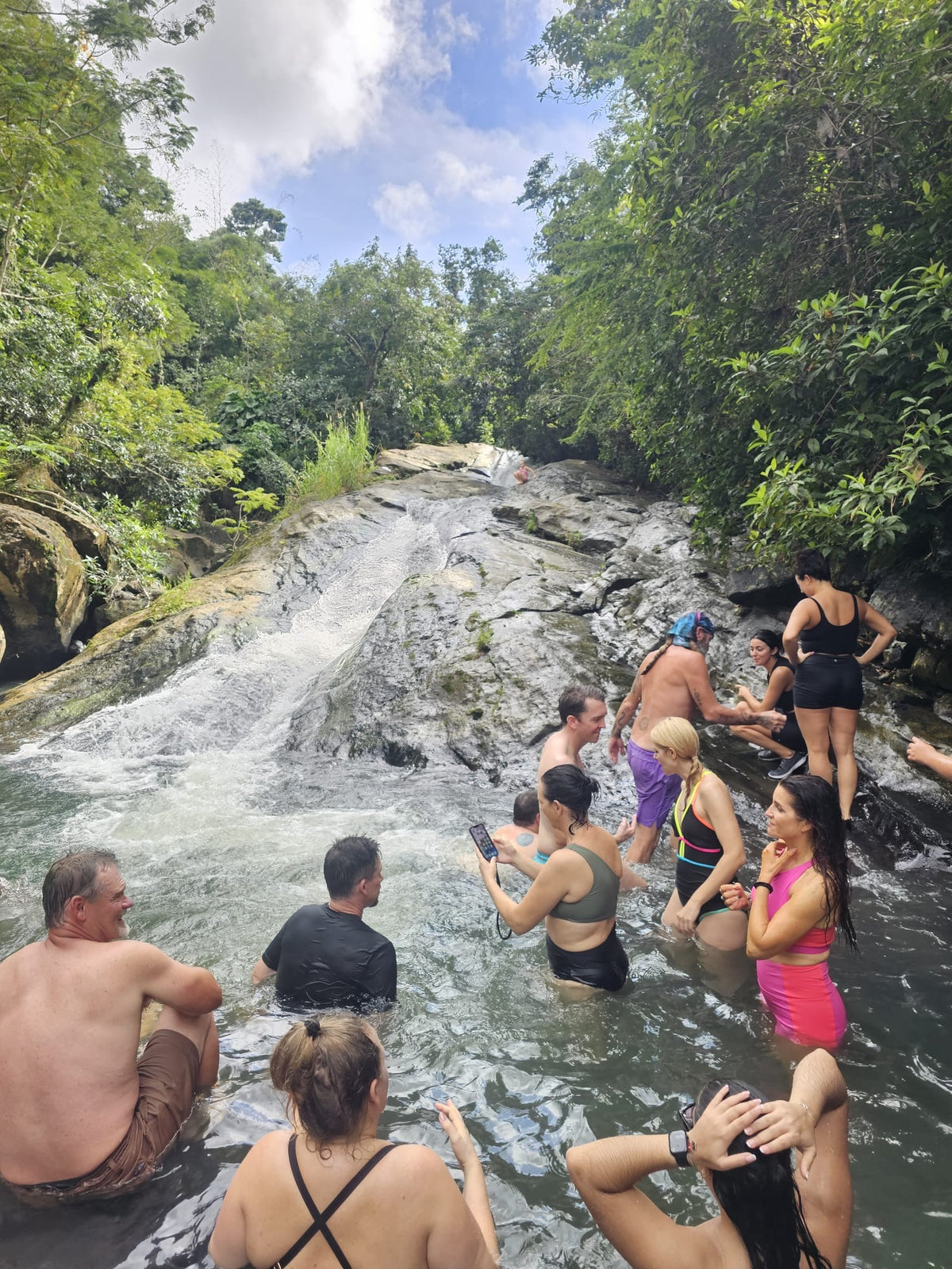 Rainforest Wild Waters