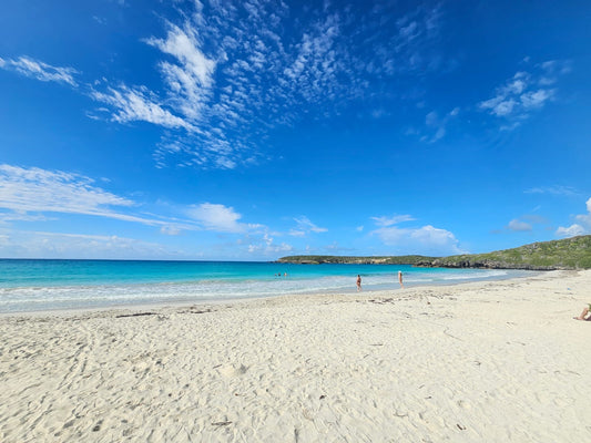 Vieques Gems