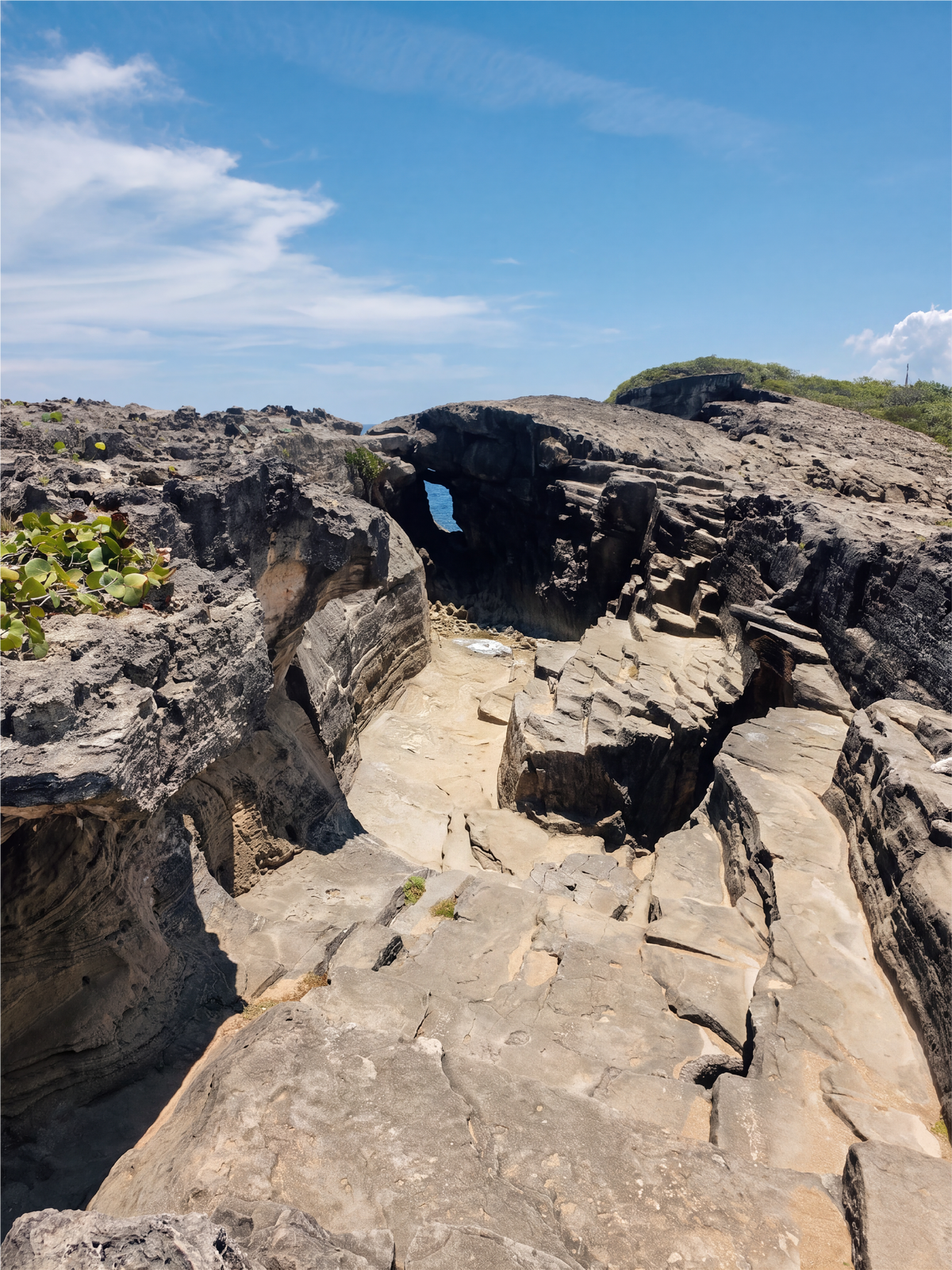 North Coastal Treasures